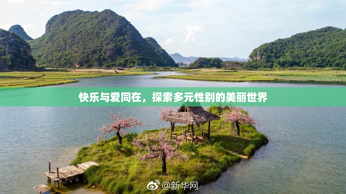 快乐与爱同在，探索多元性别的美丽世界