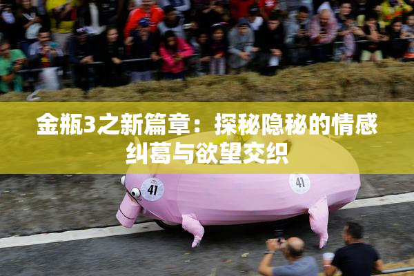 金瓶3之新篇章：探秘隐秘的情感纠葛与欲望交织