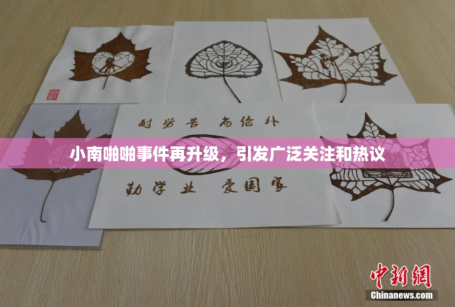 小南啪啪事件再升级，引发广泛关注和热议