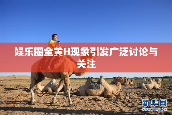 娱乐圈全黄H现象引发广泛讨论与关注