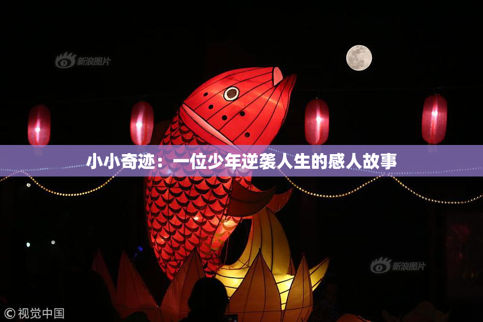 小小奇迹：一位少年逆袭人生的感人故事