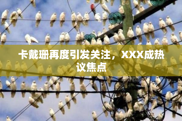 卡戴珊再度引发关注，XXX成热议焦点