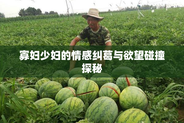 寡妇少妇的情感纠葛与欲望碰撞探秘