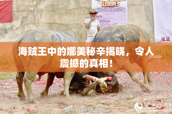 海贼王中的娜美秘辛揭晓，令人震撼的真相！