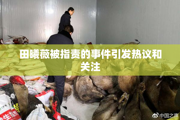 田曦薇被指责的事件引发热议和关注