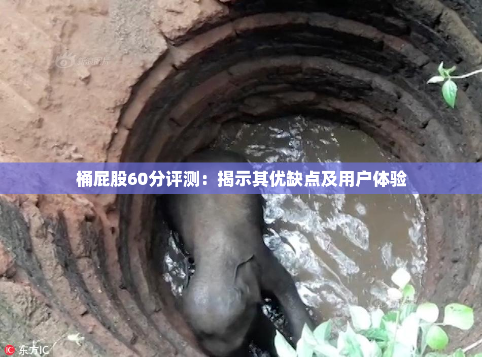 桶屁股60分评测：揭示其优缺点及用户体验