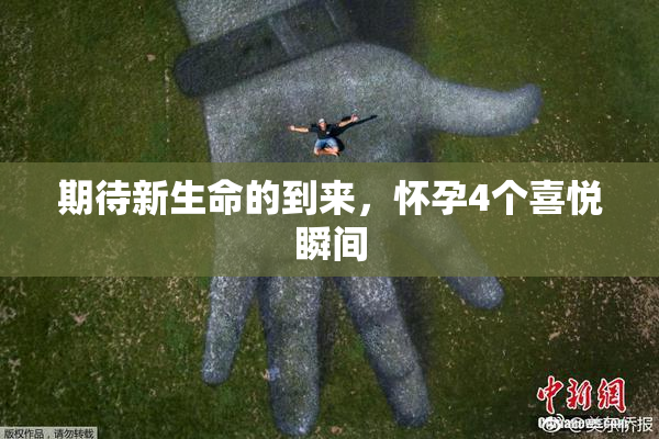 期待新生命的到来，怀孕4个喜悦瞬间