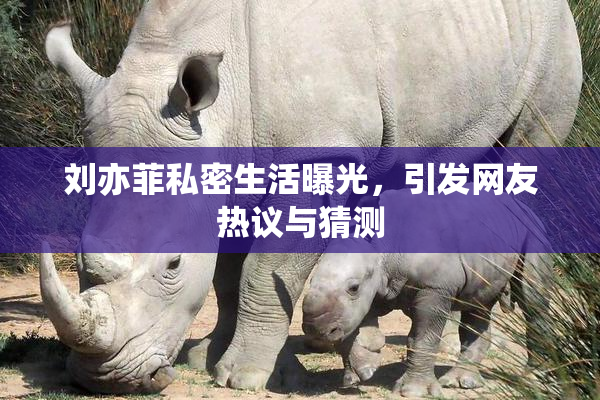 刘亦菲私密生活曝光，引发网友热议与猜测
