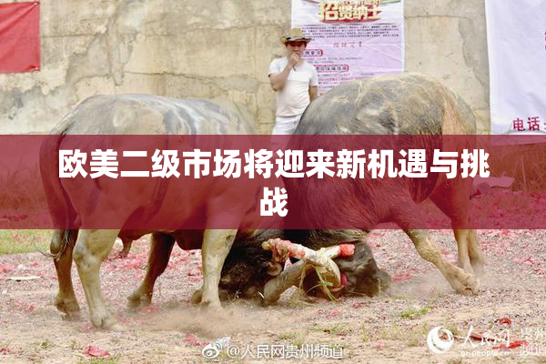 欧美二级市场将迎来新机遇与挑战