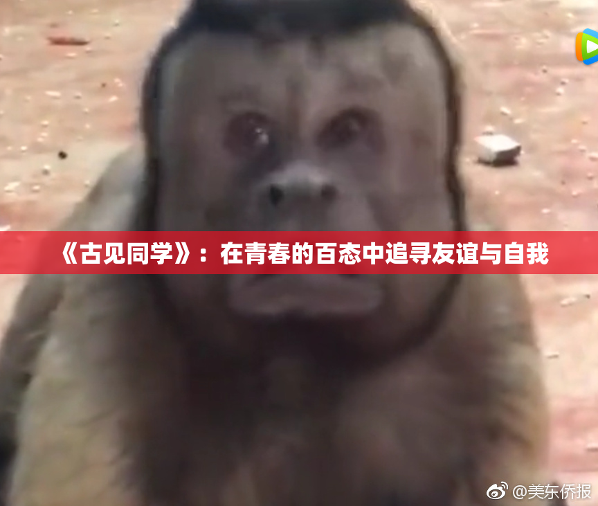 《古见同学》：在青春的百态中追寻友谊与自我