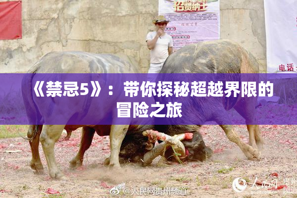 《禁忌5》：带你探秘超越界限的冒险之旅