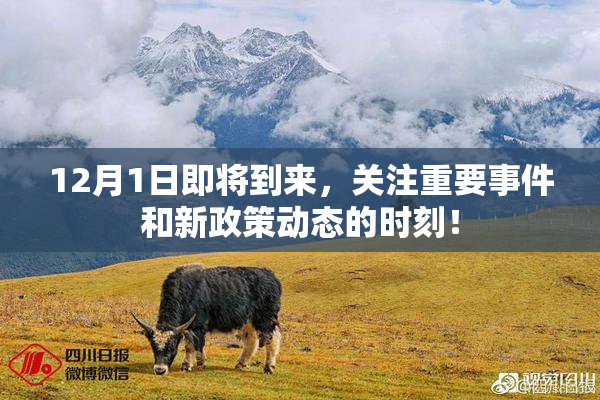 12月1日即将到来，关注重要事件和新政策动态的时刻！