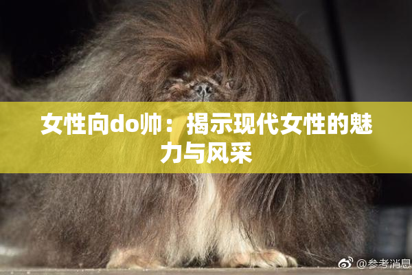 女性向do帅：揭示现代女性的魅力与风采