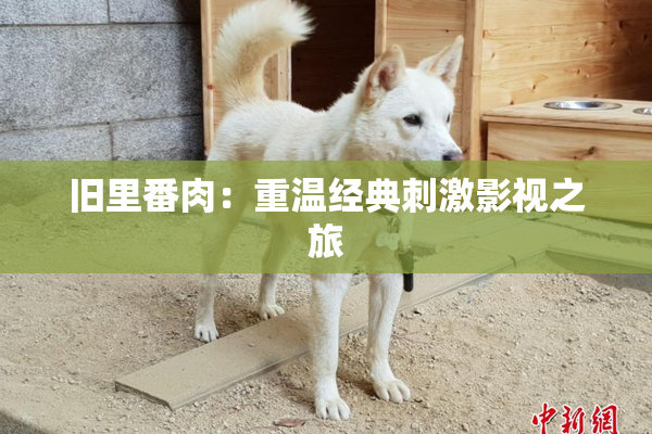 旧里番肉：重温经典刺激影视之旅