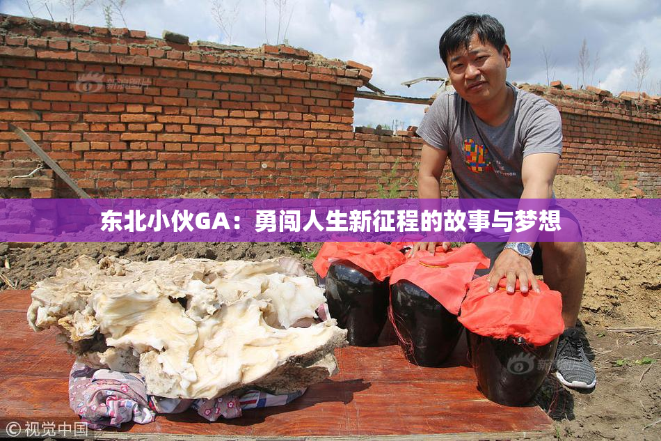东北小伙GA：勇闯人生新征程的故事与梦想