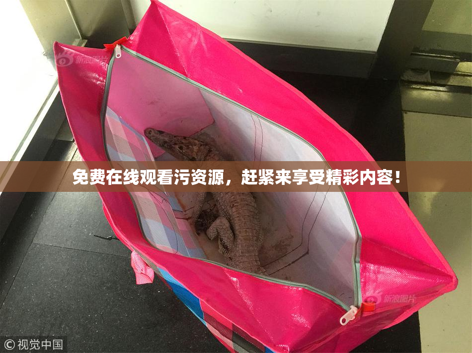 免费在线观看污资源，赶紧来享受精彩内容！