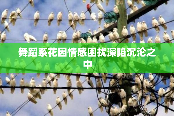 舞蹈系花因情感困扰深陷沉沦之中