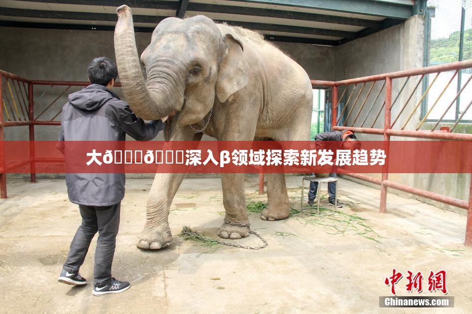 大🐔🐔深入β领域探索新发展趋势