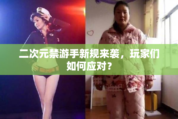 二次元禁游手新规来袭，玩家们如何应对？