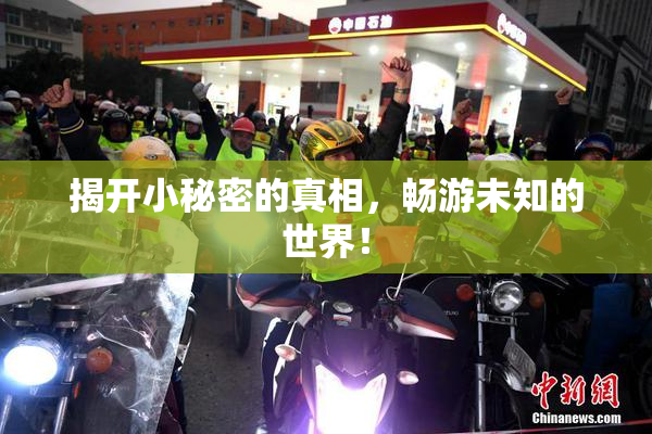 揭开小秘密的真相，畅游未知的世界！