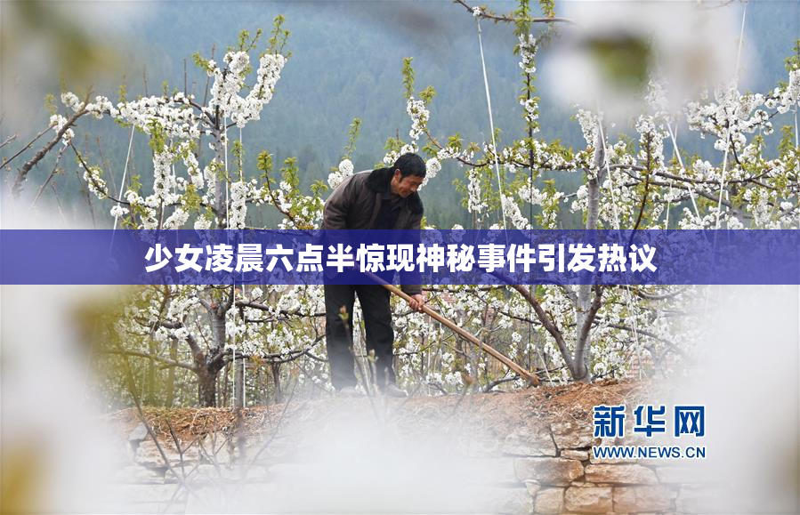 少女凌晨六点半惊现神秘事件引发热议