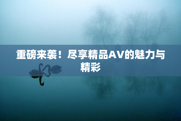 重磅来袭！尽享精品AV的魅力与精彩