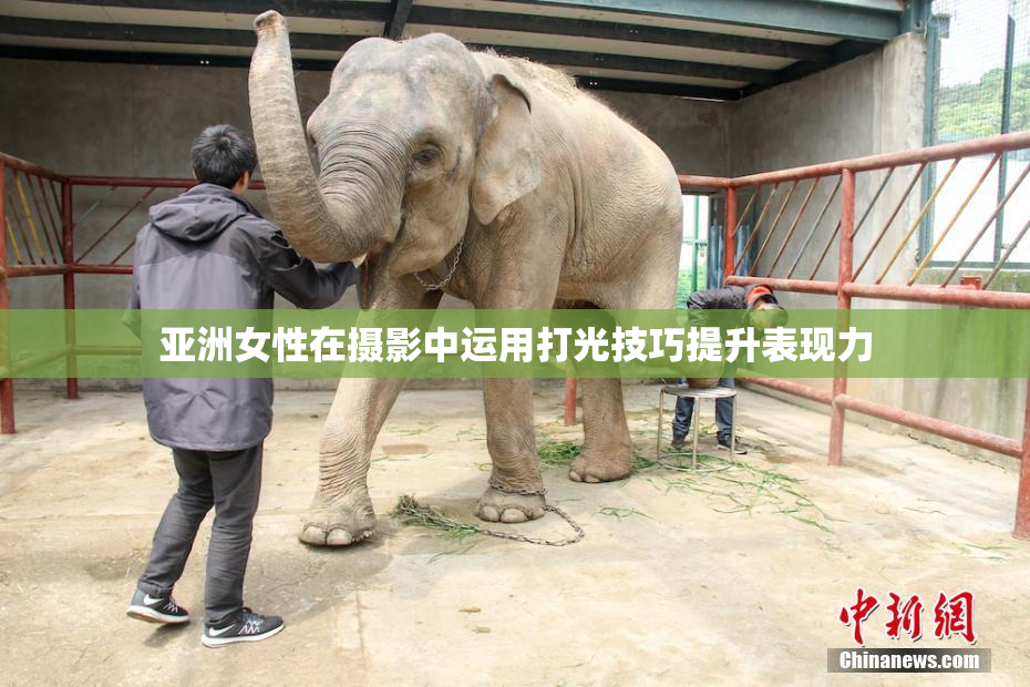 亚洲女性在摄影中运用打光技巧提升表现力