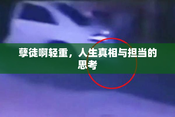 孽徒啊轻重，人生真相与担当的思考