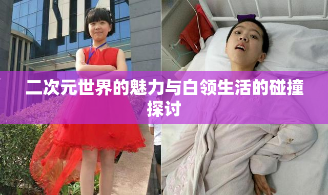 二次元世界的魅力与白领生活的碰撞探讨