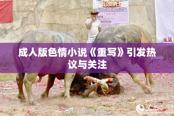 成人版色情小说《重写》引发热议与关注