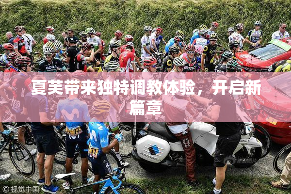 夏芙带来独特调教体验，开启新篇章