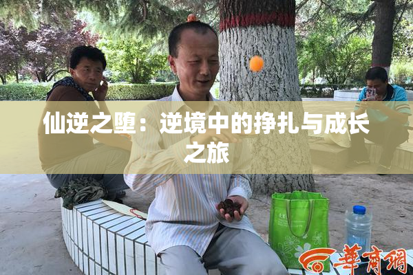 仙逆之堕：逆境中的挣扎与成长之旅