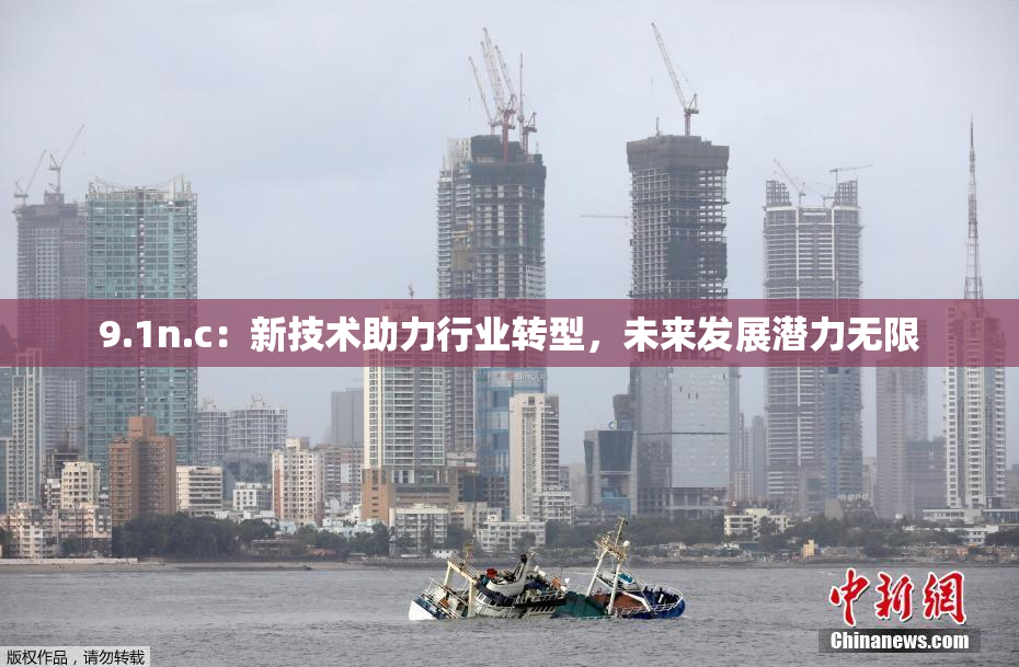 9.1n.c：新技术助力行业转型，未来发展潜力无限