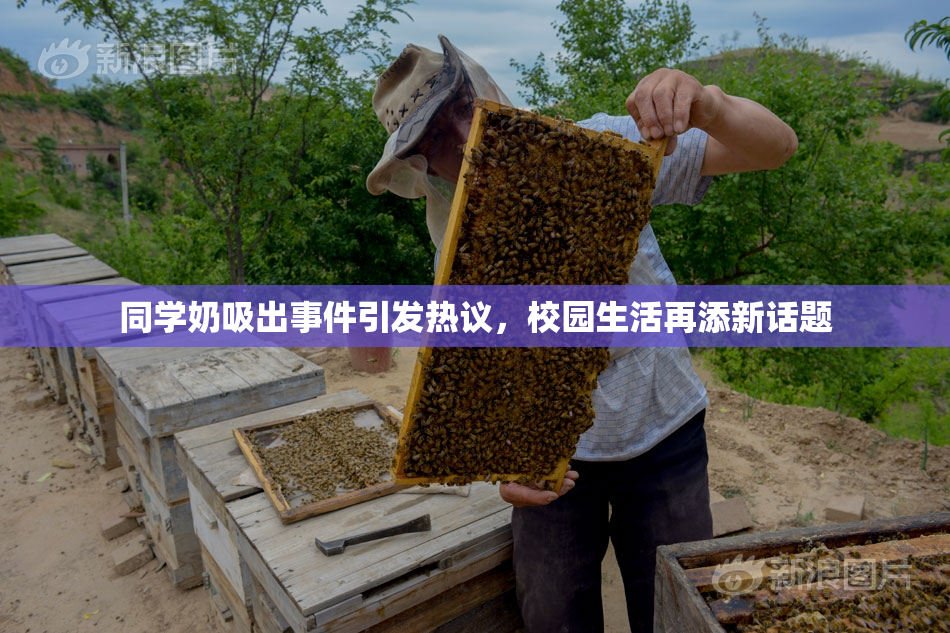同学奶吸出事件引发热议，校园生活再添新话题
