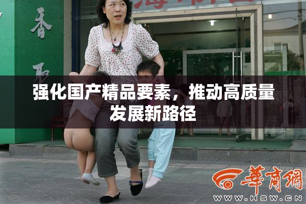 强化国产精品要素，推动高质量发展新路径