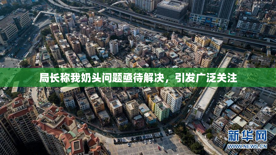 局长称我奶头问题亟待解决，引发广泛关注