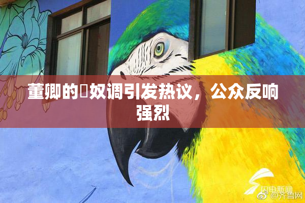 董卿的婬奴调引发热议，公众反响强烈