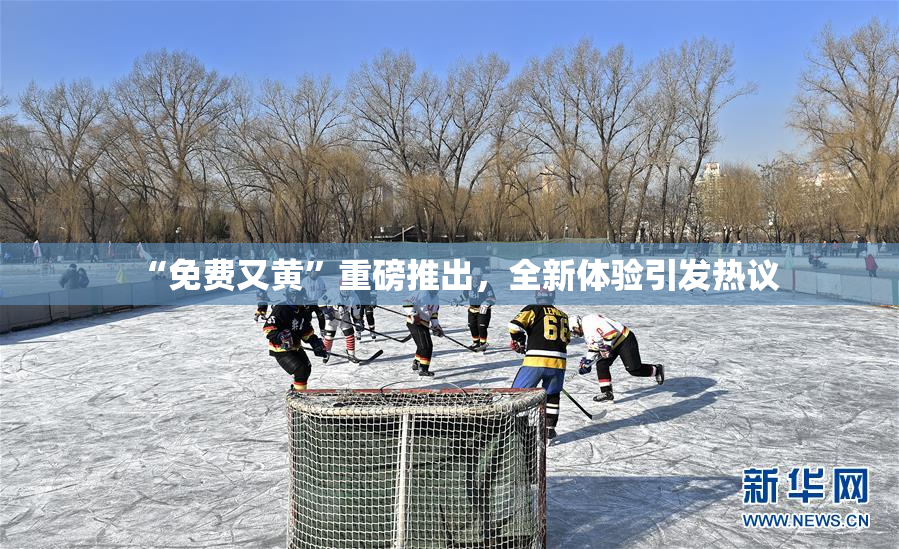 “免费又黄”重磅推出，全新体验引发热议