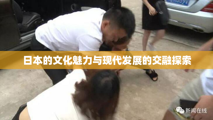 日本的文化魅力与现代发展的交融探索