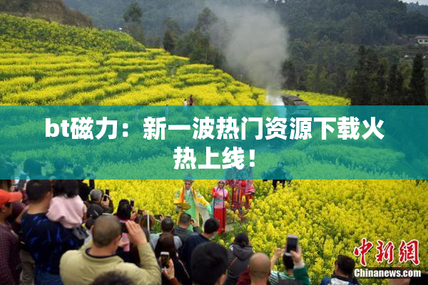 bt磁力：新一波热门资源下载火热上线！