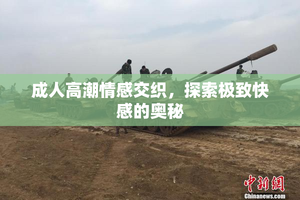成人高潮情感交织，探索极致快感的奥秘
