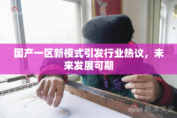 国产一区新模式引发行业热议，未来发展可期