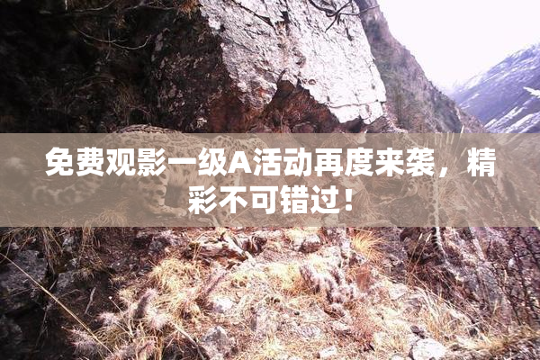 免费观影一级A活动再度来袭，精彩不可错过！