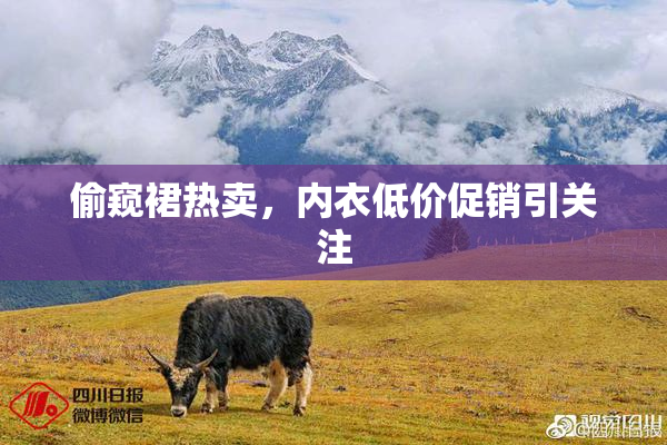 偷窥裙热卖，内衣低价促销引关注