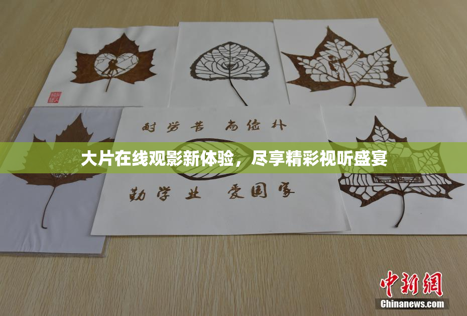 大片在线观影新体验，尽享精彩视听盛宴
