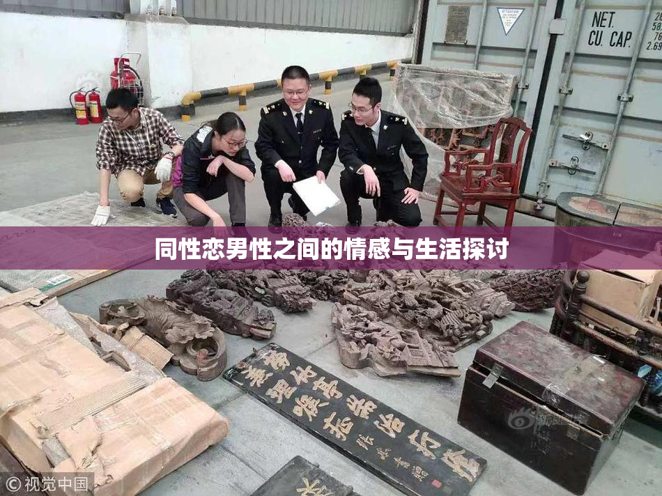 同性恋男性之间的情感与生活探讨