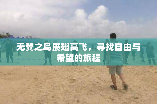 无翼之鸟展翅高飞，寻找自由与希望的旅程
