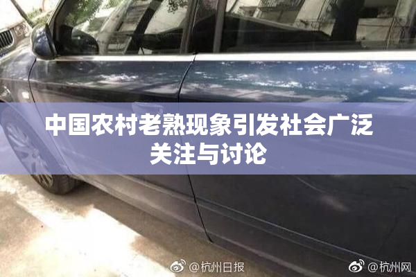 中国农村老熟现象引发社会广泛关注与讨论