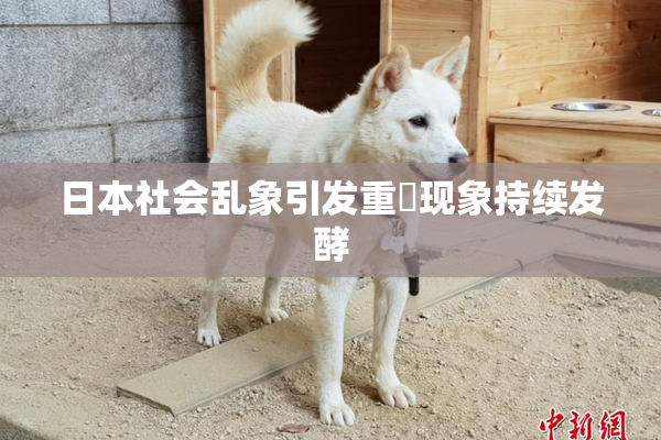 日本社会乱象引发重婬现象持续发酵