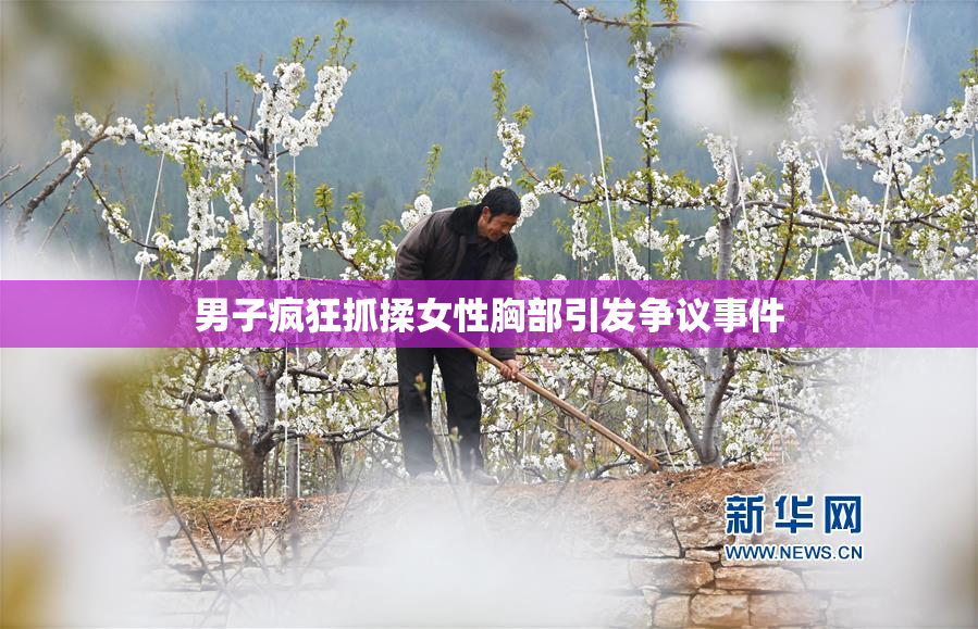 男子疯狂抓揉女性胸部引发争议事件